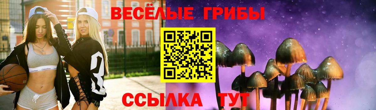 Рубцовск  Псилоцибиновые грибы Psilocybe  Псилоцибиновые грибы Psilocybe  Вход с VPN 